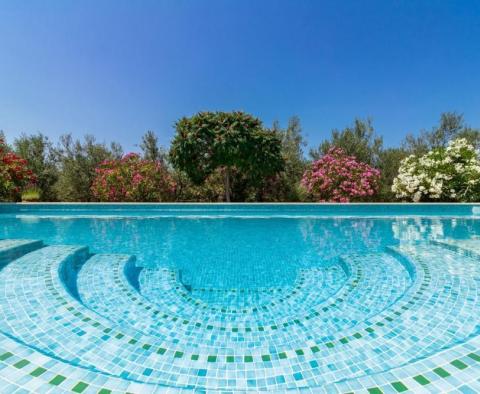 Astonishing estate in Vodnjan on 4671 sq.m. of land, just 2 km from the sea - pic 3