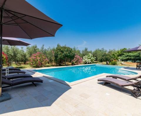 Astonishing estate in Vodnjan on 4671 sq.m. of land, just 2 km from the sea - pic 32
