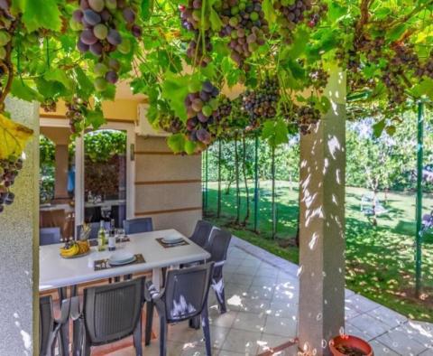 Villa mit Swimmingpool und 3 Apartments auf einem großzügigen Grundstück von 1700 m2 in Jadreski zwischen Liznjan und Pula - foto 8