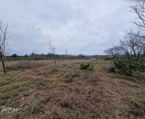 Les terres agricoles à Labin sont, cca.2 hectares - pic 2