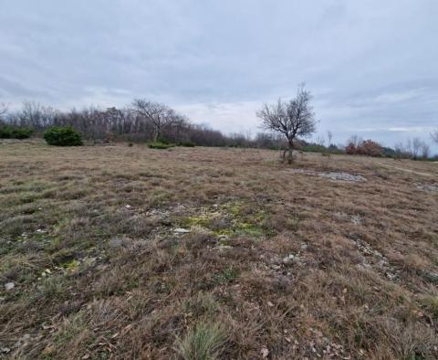 Les terres agricoles à Labin sont, cca.2 hectares - pic 3