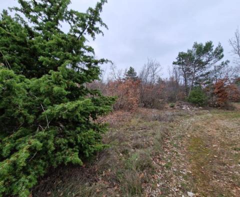 Agro land in Labin are, cca.2 hectares - pic 8