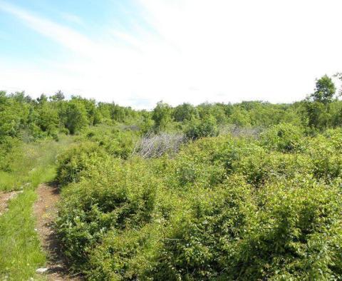 Geräumiges Agro- und Stadtgrundstück in Štrmac, Sveta Nedelja, Labin-Gebiet - foto 5