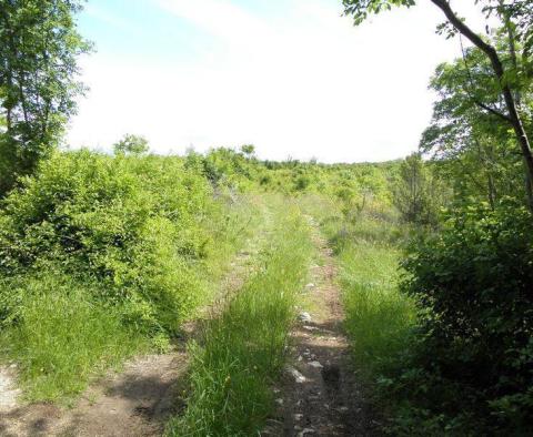 Geräumiges Agro- und Stadtgrundstück in Štrmac, Sveta Nedelja, Labin-Gebiet - foto 7