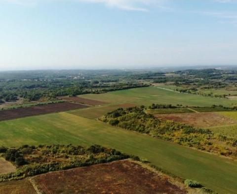 Spacious agricultural land for sale in Buje area, 83.917m2 - pic 7