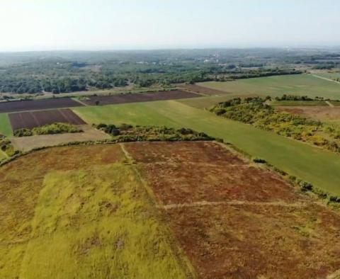 Spacious agricultural land for sale in Buje area, 83.917m2 - pic 12