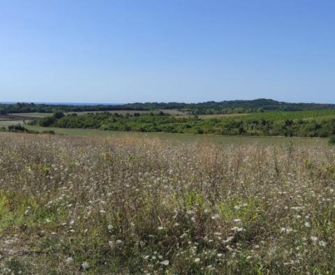 Spacious agricultural land for sale in Buje area, 83.917m2 - pic 13