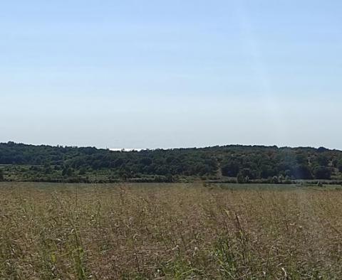 Spacious agricultural land for sale in Buje area, 83.917m2 - pic 19