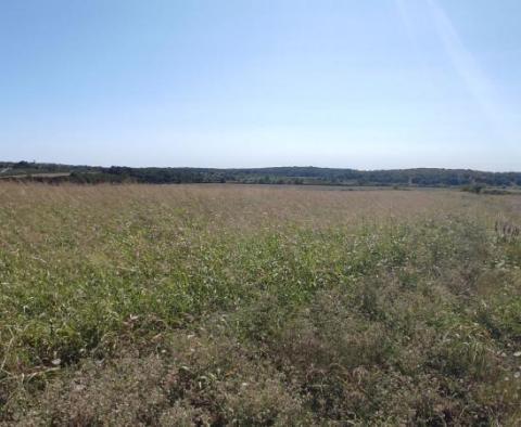 Spacious agricultural land for sale in Buje area, 83.917m2 - pic 21