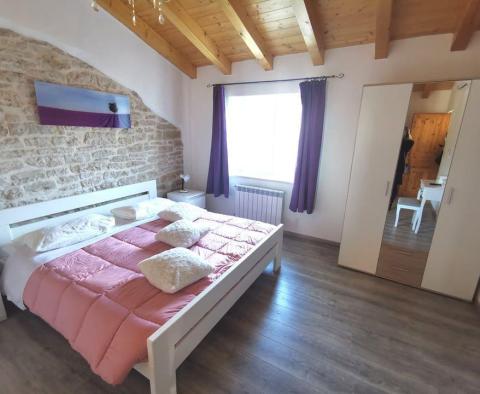 Zwei solide Steinvillen mit Swimmingpool zum Verkauf in Višnjan, Porec - foto 33