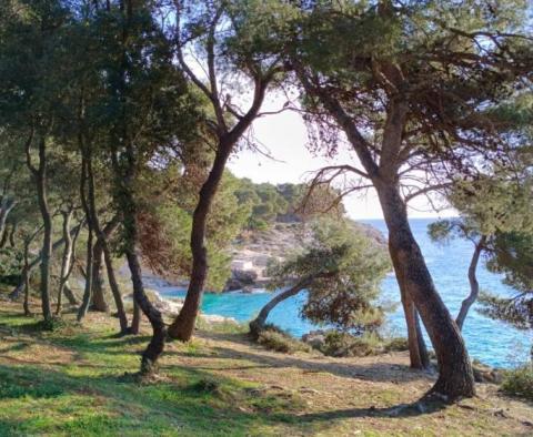 Villa impressionnante dans la région de Veruda, Pula, à seulement 1 km. de la mer! - pic 18