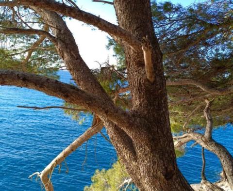 Villa avec piscine à Valdebek, Pula, parfaite pour vivre en Croatie 365 jours par an - pic 18