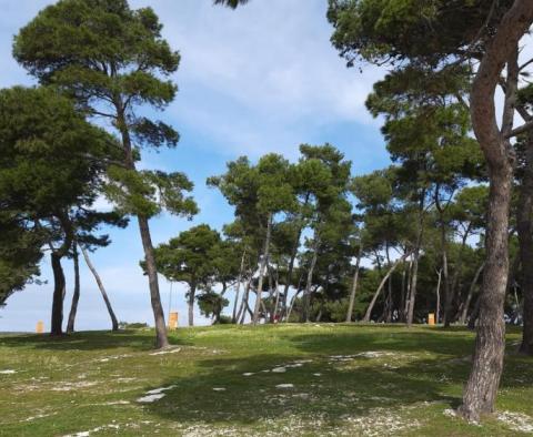 Hôtel lumineux et lumineux dans la région de Pula à seulement 200 mètres de la mer - pic 15