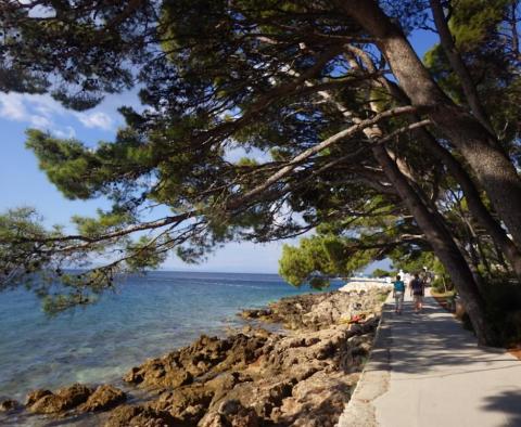 Unabhängiges Apart-Haus mit 4 Wohnungen in Baska Voda, nur wenige Meter vom Strand entfernt - foto 25