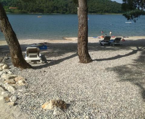 Belle villa à Pomer *Medulin) avec bain à remous à seulement 250 mètres de la mer ! - pic 15