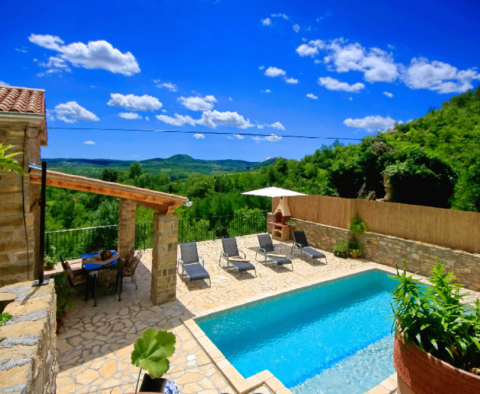 Two stone properties with a swimming pool in Oprtalj with a view of Motovun - pic 5