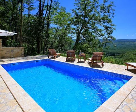 Two stone houses with swimming pool and a view of Motovun in Oprtalj - pic 20