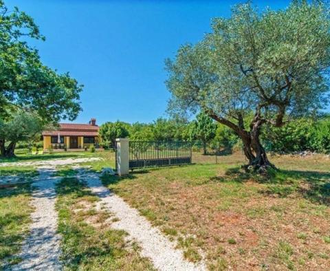 Small charming villa with sea views, 400 meters from the sea in famous Rovinj - pic 19