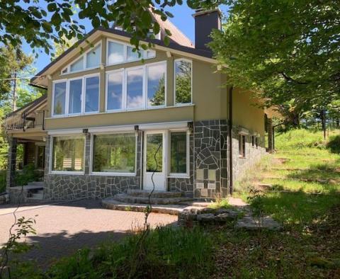 Fantastic villa in Gorski Kotar with panoramic views - pic 2