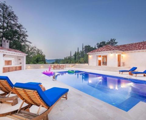 5***** villa in Dubrovnik outskirts in Konavle on 3115 sq.m. of land - pic 5