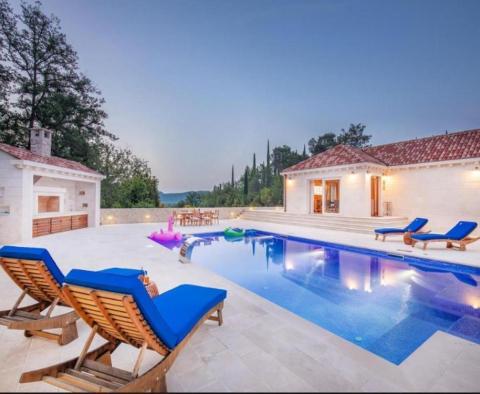 5***** villa in Dubrovnik outskirts in Konavle on 3115 sq.m. of land - pic 17