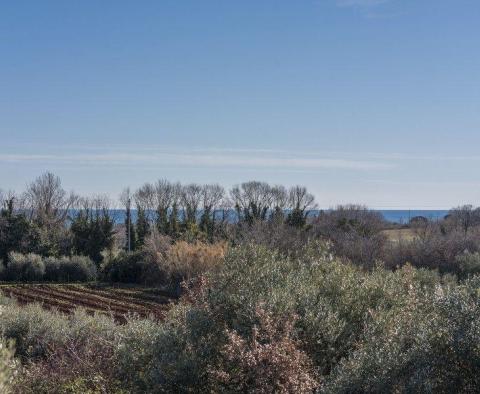 Villetta avec piscine à Novigrad - pic 32