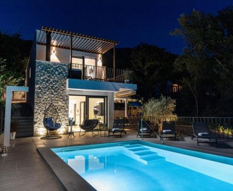 Lux villa in Bribir, Vinodolska Općina - pic 5
