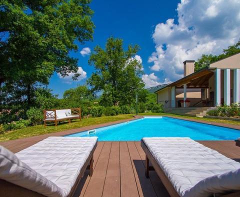 Moderně řešená vila s bazénem na velké zahradě v oblasti Buzet - pic 4