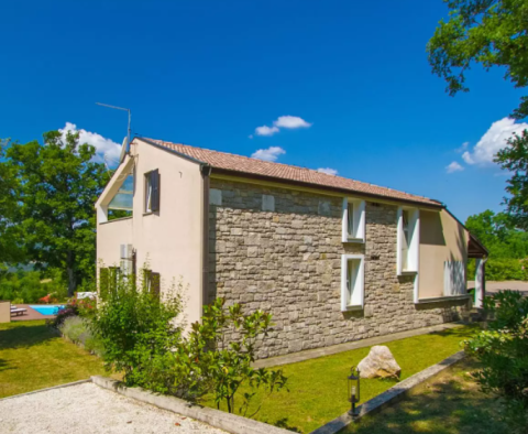 Moderně řešená vila s bazénem na velké zahradě v oblasti Buzet - pic 7