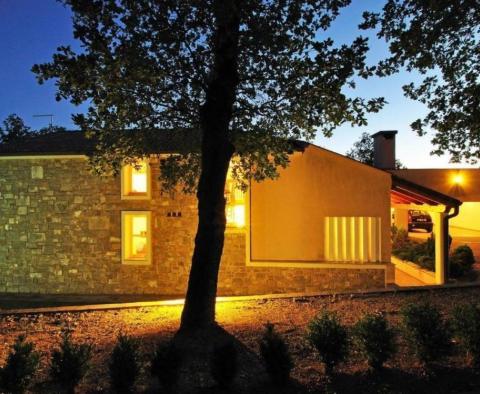 Moderně řešená vila s bazénem na velké zahradě v oblasti Buzet - pic 44