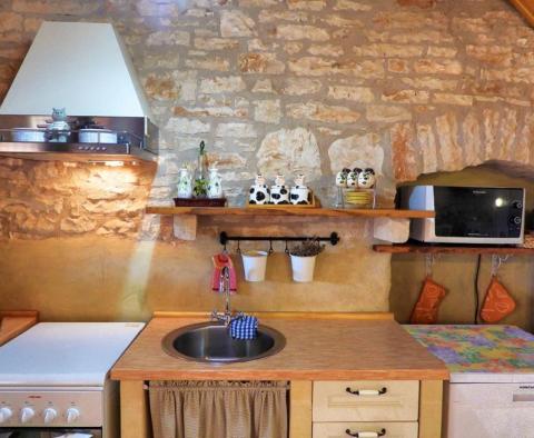 Vila v tradičním stylu s bazénem v Svetvinčenat - pic 28