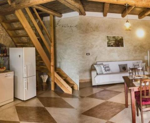 Vila v tradičním stylu s bazénem v Svetvinčenat - pic 61