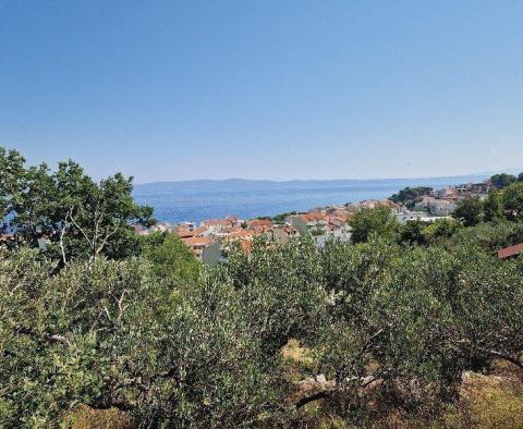 Urbanized land plot in Tucepi 200 meters from the sea - pic 4