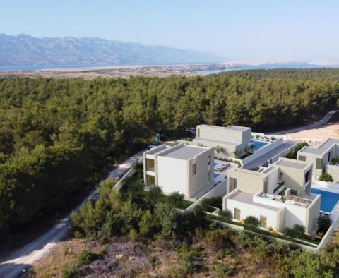 Luxury villas within new complex in Zadar area - pic 8