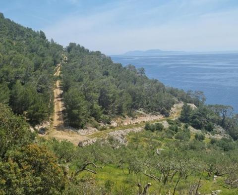 Seafront agro land with possibility of construction on Hvar island - pic 3