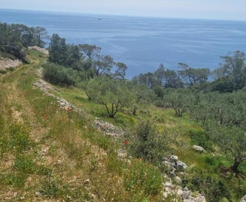 Seafront agro land with possibility of construction on Hvar island - pic 4