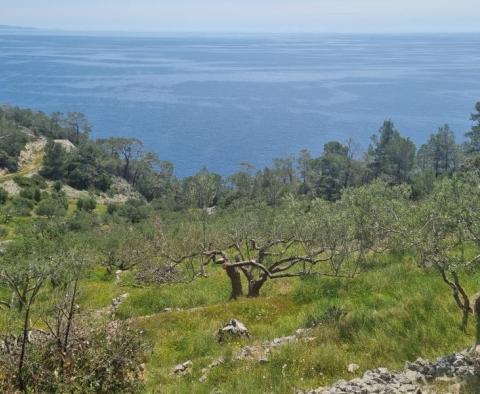 Seafront agro land with possibility of construction on Hvar island - pic 2