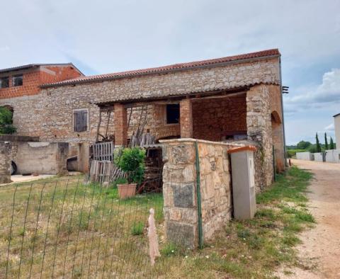 House in Brtonigla 