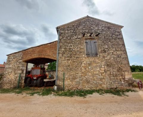 House in Brtonigla - pic 19