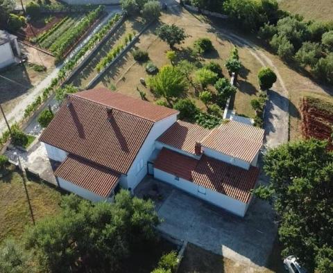 Huge estate in Peruški, Marčana with sea views - pic 20