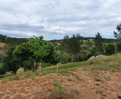 Resort, hotel, restaurant, apartments, camp, land complex of T1, T2, T3 in Motovun area - on 32.227 m2 of land - pic 67