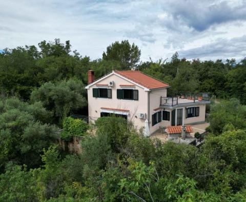 Maison dans la verdure à Dobrinj, île de Krk - pic 15