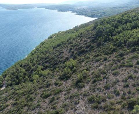 Agro land plot for sale in Jelsa area, on Hvar island - 1st line to the sea - pic 2
