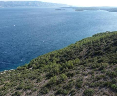 Agro land plot for sale in Jelsa area, on Hvar island - 1st line to the sea 