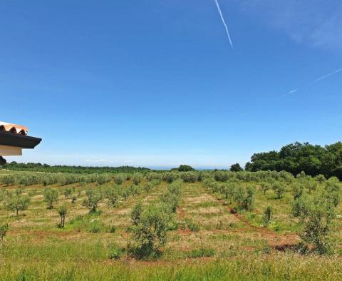 Ganz besondere Villa in der Gegend von Novigrad mit weitem Meerblick, 3 km vom Meer entfernt - foto 6