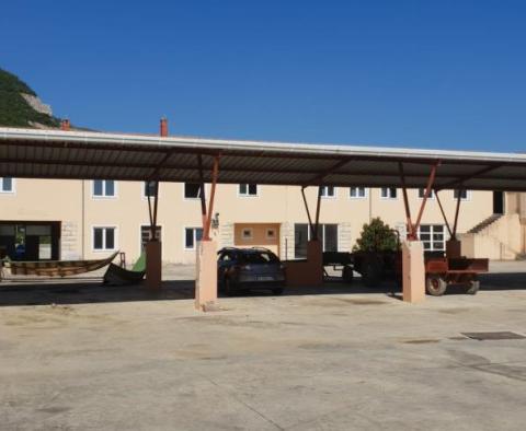 Medical centre for sale in Rasa - pic 7