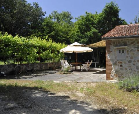 Hervorragendes Anwesen zum Verkauf in der Gegend von Rovinj, nur 1 km vom Meer entfernt, fast 2 ha Land! - foto 12