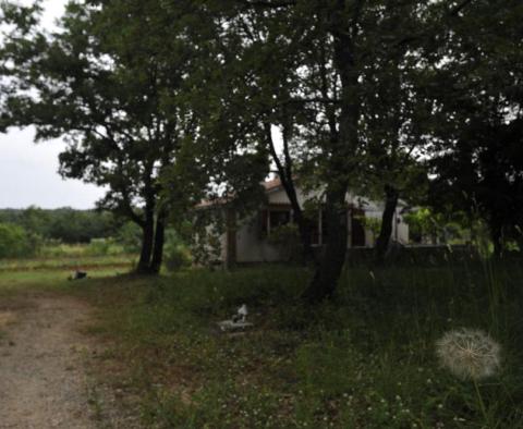 Hervorragendes Anwesen zum Verkauf in der Gegend von Rovinj, nur 1 km vom Meer entfernt, fast 2 ha Land! - foto 30