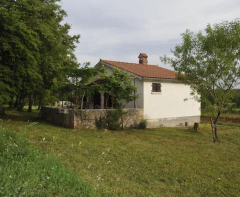 Hervorragendes Anwesen zum Verkauf in der Gegend von Rovinj, nur 1 km vom Meer entfernt, fast 2 ha Land! - foto 35