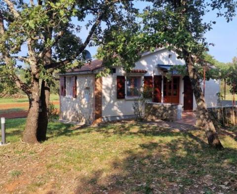 Hervorragendes Anwesen zum Verkauf in der Gegend von Rovinj, nur 1 km vom Meer entfernt, fast 2 ha Land! - foto 58